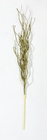 Ветка ротанга золото