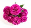 Букет пион Феликс Суприм 7 цветков