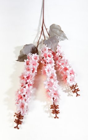 Дельфиниум Суфле светло-розовый