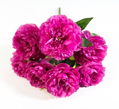 Букет пион Феликс Суприм 7 цветков