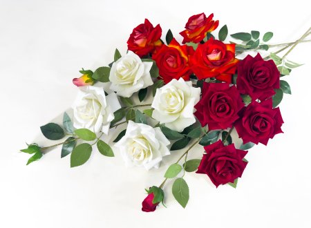 Ветка бархатных роз Феномен 4 цветка 1 бутон