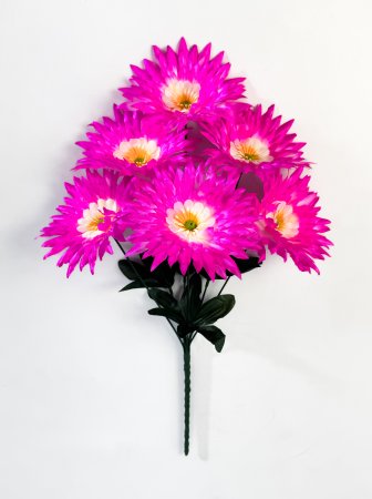 Астра "Ника" 6 цветков