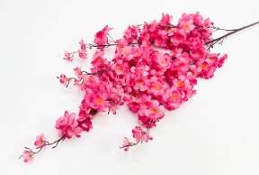 Сакура "Ветка Ханами" малиновая