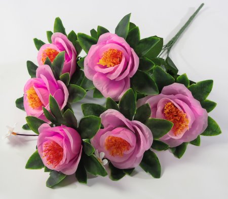 Роза "Ультрафиолет" 6 цветков