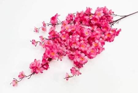 Сакура "Ветка Ханами" малиновая