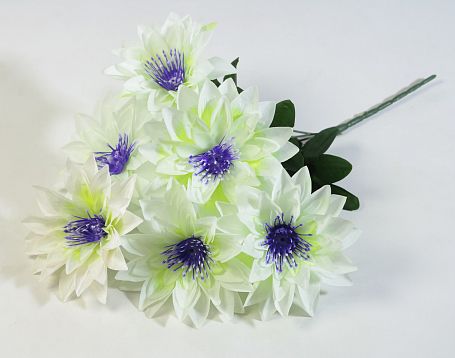 Букет астр "Махровая смесь" 6 цветков от магазина KALINA являющийся официальным дистрибьютором в России 