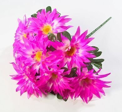 Астра "Энигма" 9 цветков от магазина KALINA являющийся официальным дистрибьютором в России 