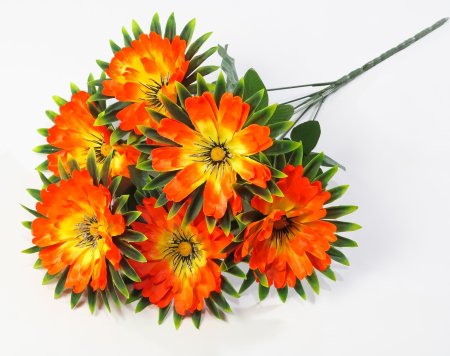 Георгин "Свирель" 6 цветков