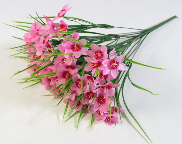 Букет нарциссов 54 цветка