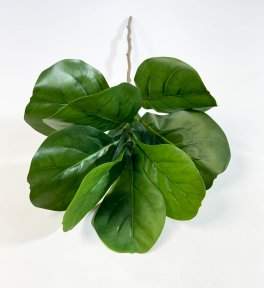 картинка Лирата 9 листов от магазина KALINA