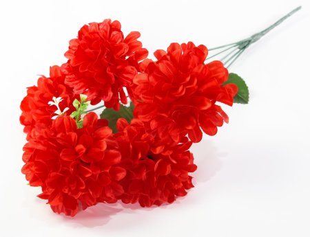 Хризантема "Жар-Птица" 5 цветков