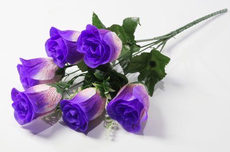 Букет роз "Жилка" 6 цветков