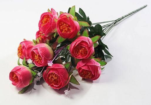Пион "Московский" 8 цветков от магазина KALINA являющийся официальным дистрибьютором в России 