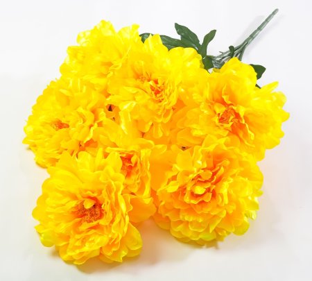 Букет пиона Летний вечер 7 цветков