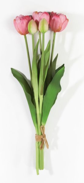 Букет открытых тюльпанов 3+2 дикий арбуз