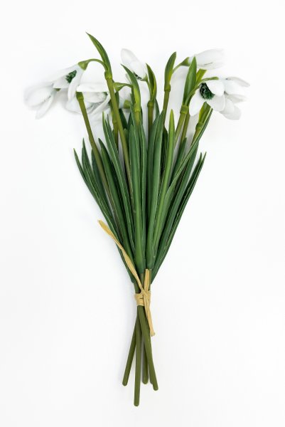 Подснежник