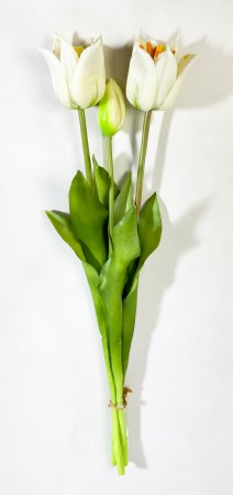 Тюльпан Саппоро (2+1) белый