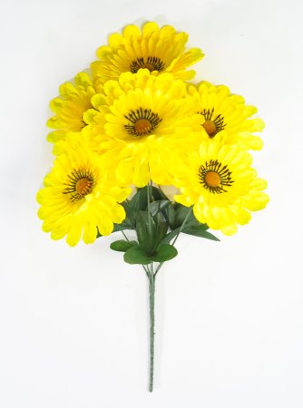 Астра "Арабелла" 6 цветков