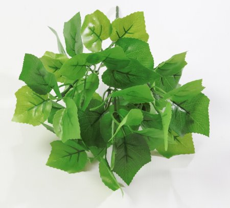 картинка Ветка зелени с виноградным листом от магазина KALINA