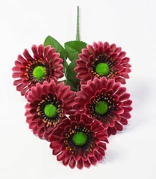 Букет ромашек "Паприка" 5 цветков от магазина KALINA являющийся официальным дистрибьютором в России 