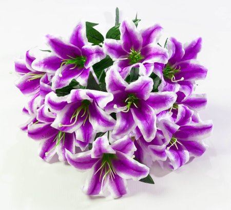 Лилия "Медовая луна" 12 цветков