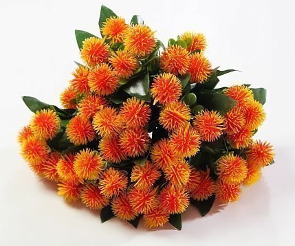 Репей садилка 5 цветков от магазина KALINA являющийся официальным дистрибьютором в России 