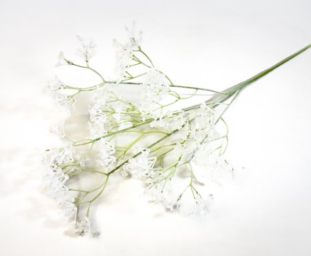 Гипсофила "Изящная" белая