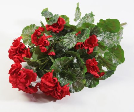 Ветка герани красная