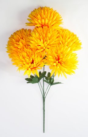 Хризантема "Талисман гигант" 6 цветков