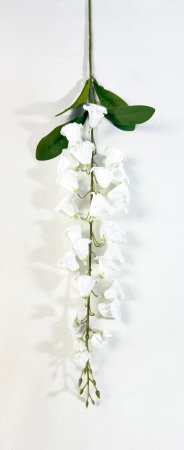 Наперстянка белая