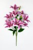 Лилия "Супер гигант" 9 цветков