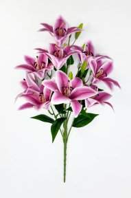 Лилия "Супер гигант" 9 цветков