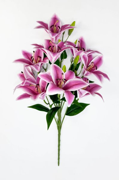 Лилия "Супер гигант" 9 цветков