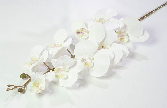 Ветка орхидеи 16 от магазина KALINA являющийся официальным дистрибьютором в России 