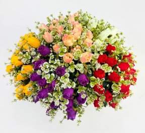 Роза Ясмина 18 цветков