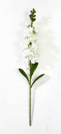 Дельфиниум "Кавалер"