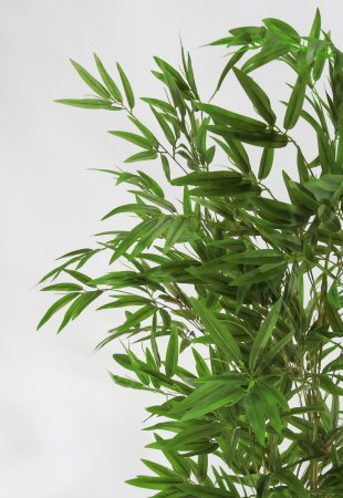 Куст бамбука 180 см. БЕЗ КАШПО