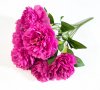 Букет пион Феликс Суприм 7 цветков