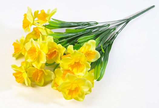 Букет нарцисса "Крона" 21 цветок от магазина KALINA являющийся официальным дистрибьютором в России 