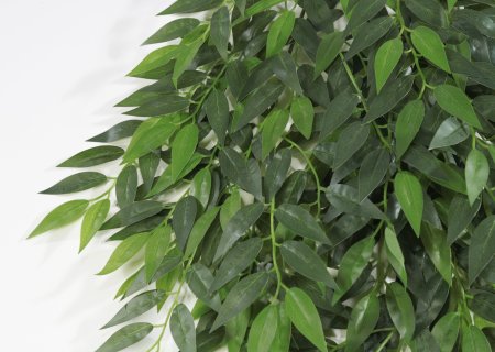 картинка Ветка ампельной остролистной оливы от магазина KALINA