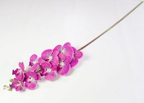 Ветка орхидеи 39 от магазина KALINA являющийся официальным дистрибьютором в России 