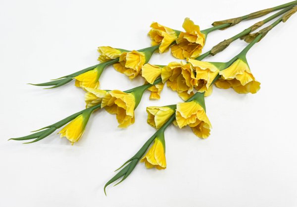 Гладиолус "Цветочный калейдоскоп" желтый