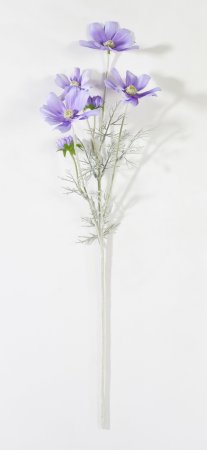 Ветка космеи сиреневая