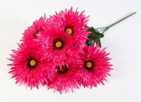 Астра Фокус малая 6 цветков