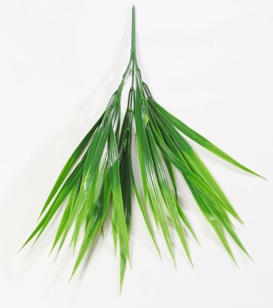 картинка Осока лесная от магазина KALINA