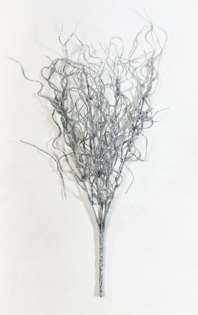 Букет аспарагуса серебро