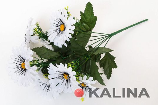 Букет ромашек "Реснички Блеск" 6 веток 6 цветков от магазина KALINA являющийся официальным дистрибьютором в России 