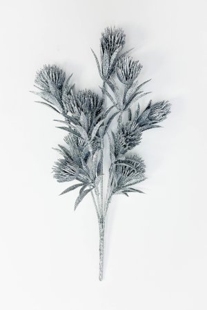 Василистник серебро