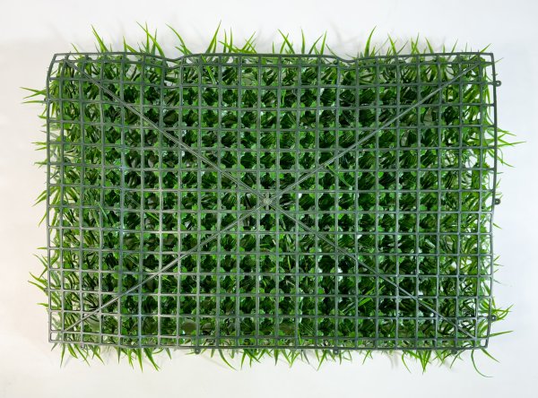 картинка Газон Садовый от магазина KALINA