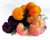 Хризантема "Агата" 5 цветков 3 бутона